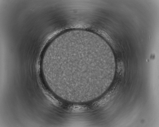 X0000098180632200805151141