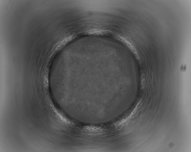 X0000098180633200805151141