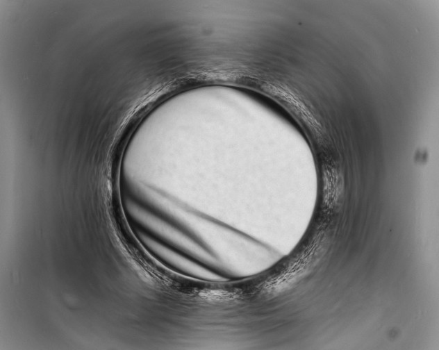 X0000098180634200805151141