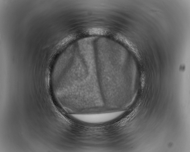 X0000098180637200805151141