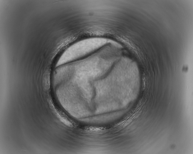 X0000098180638200805151141