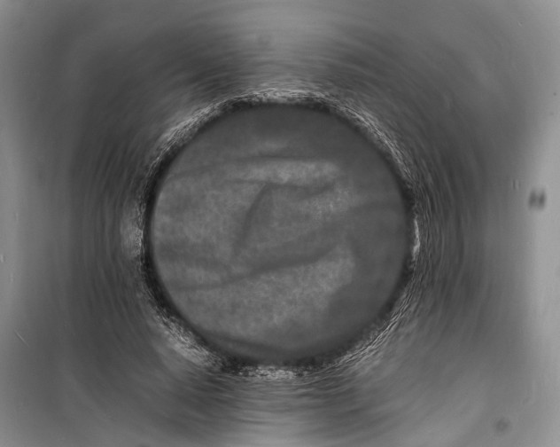 X0000098180640200805151141