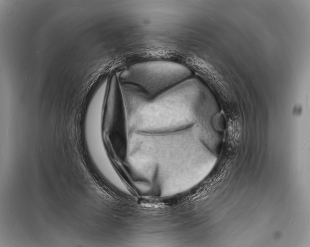 X0000098180642200805151141