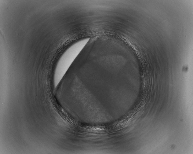 X0000098180643200805151141