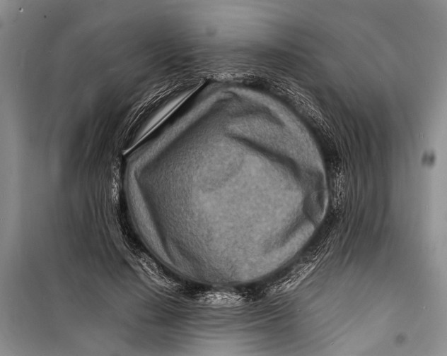 X0000098180644200805151141