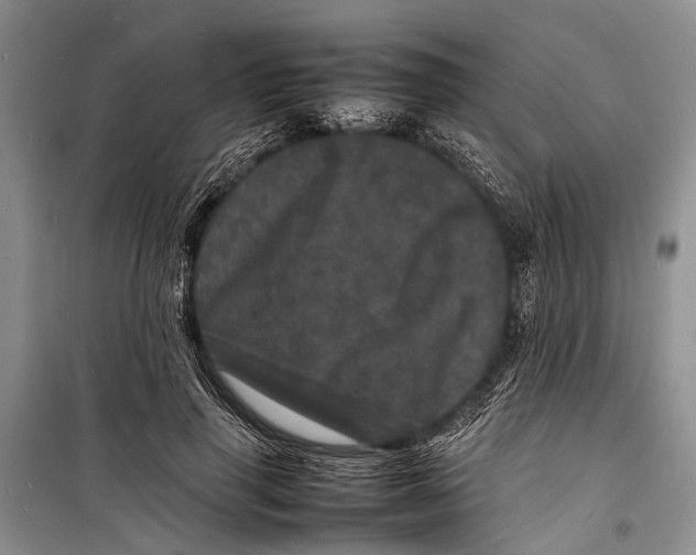 X0000098180645200805151141