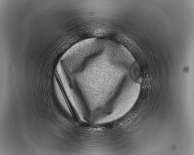 X0000098180646200805151141