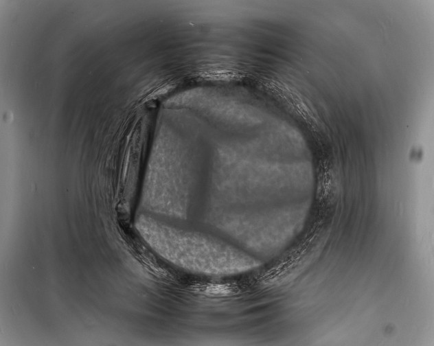 X0000098180647200805151141