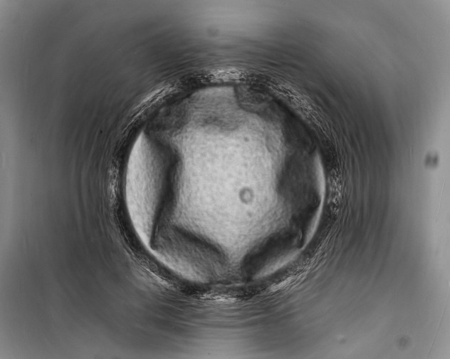 X0000098180648200805151141