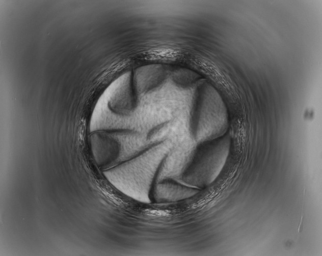 X0000098180649200805151141