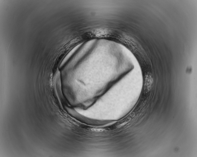 X0000098180650200805151141