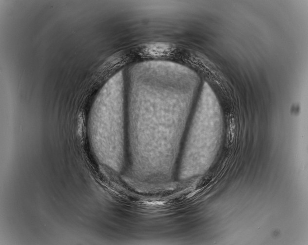 X0000098180651200805151141