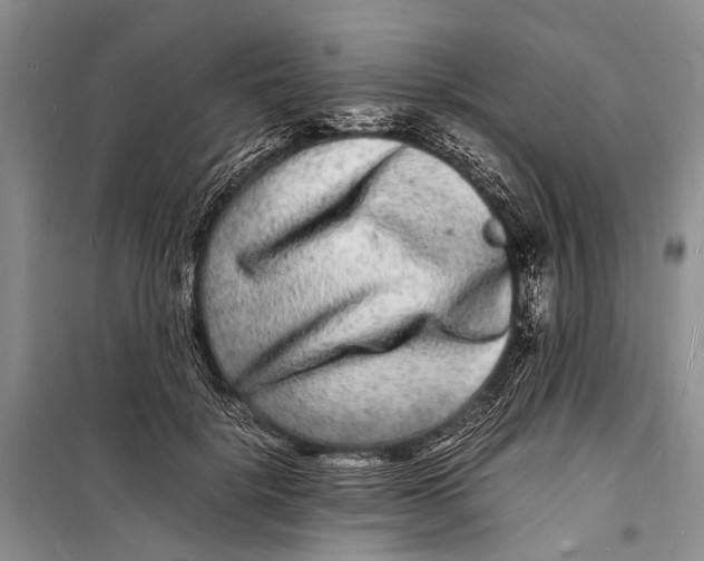 X0000098180652200805151142