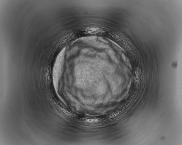 X0000098180653200805151142