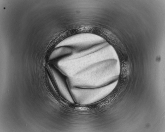 X0000098180654200805151142