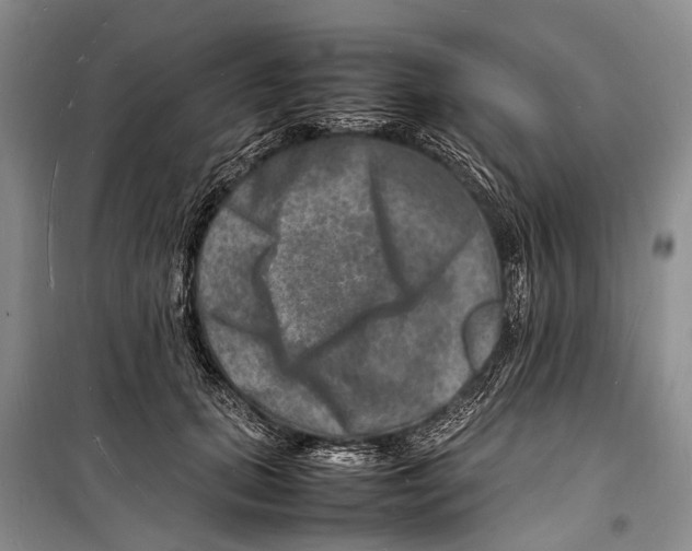 X0000098180655200805151142