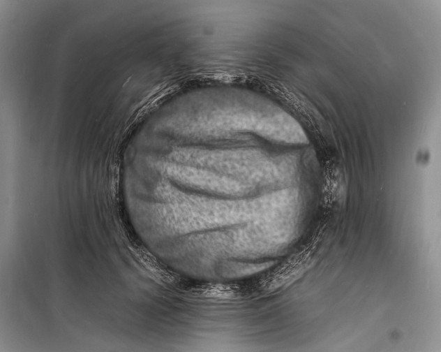 X0000098180656200805151142