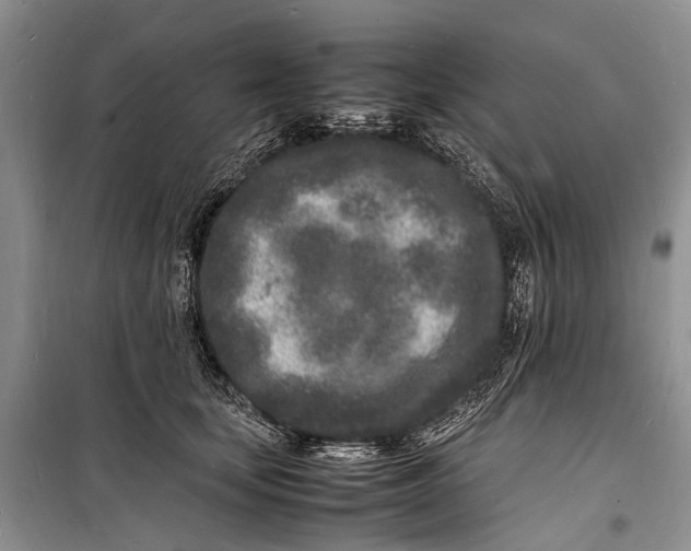 X0000098180659200805151142