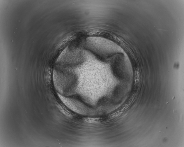 X0000098180664200805151142