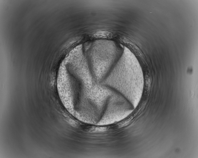 X0000098180665200805151142