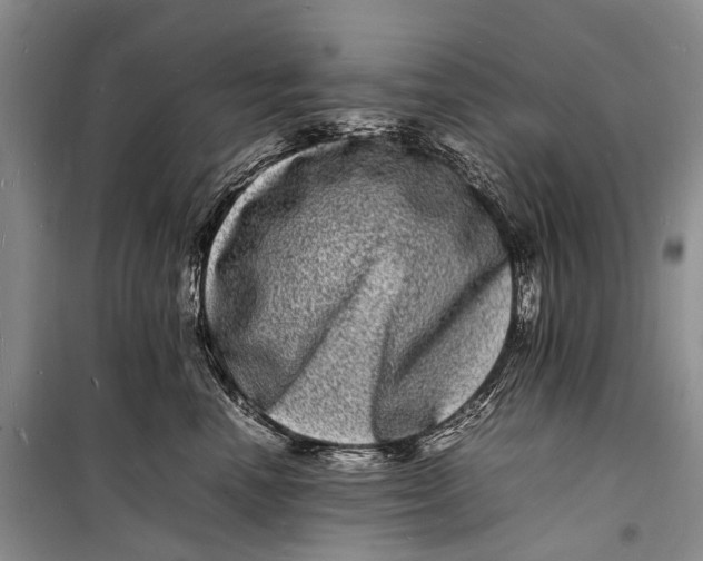 X0000098180666200805151142