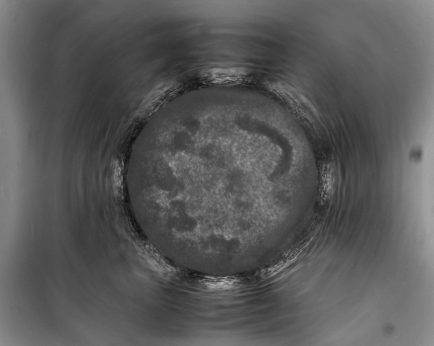 X0000098180667200805151142