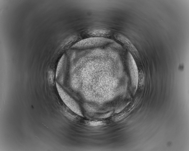 X0000098180669200805151142