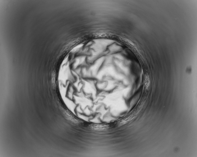 X0000098180670200805151142