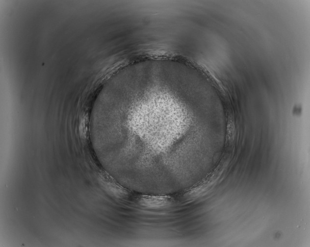 X0000098180671200805151142