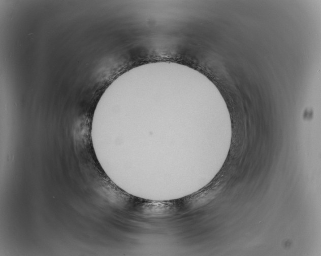 X0000098180672200805151142