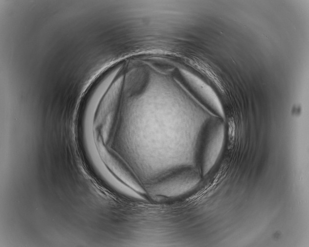 X0000098180676200805151141