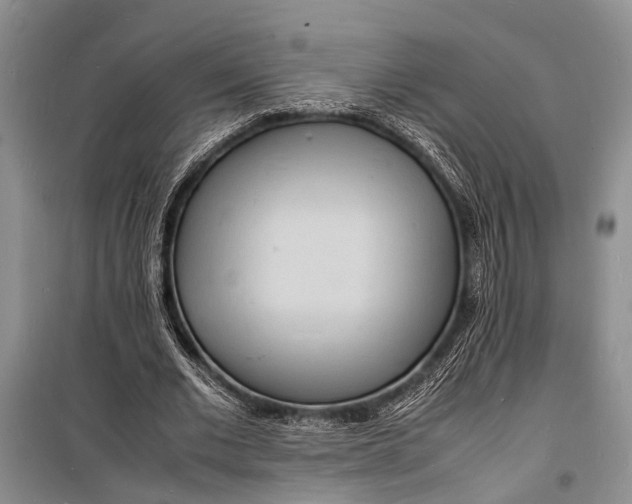 X0000098180677200805151141