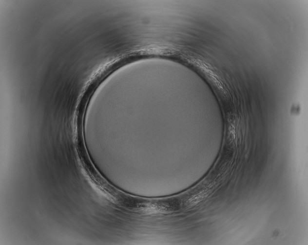 X0000098180678200805151141