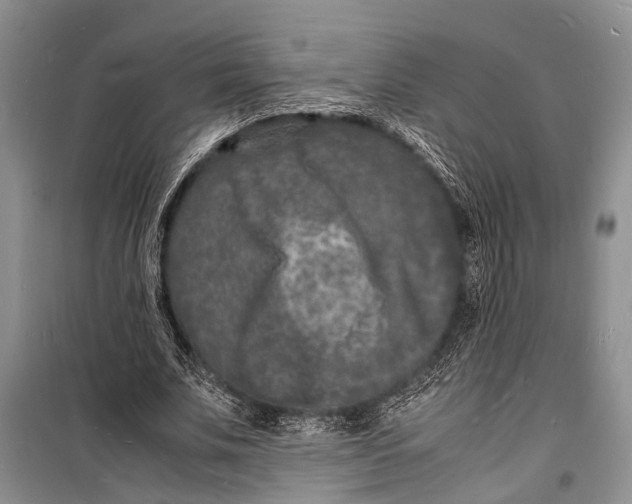 X0000098180679200805151141