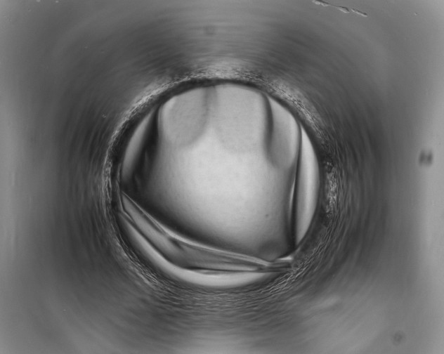 X0000098180680200805151141