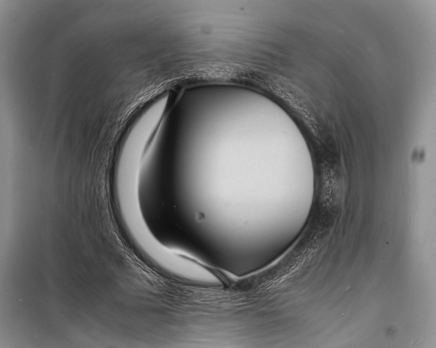 X0000098180681200805151141