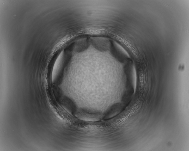 X0000098180682200805151141