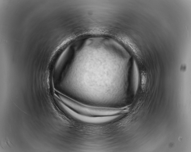 X0000098180684200805151141