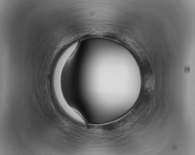 X0000098180685200805151141