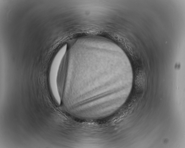 X0000098180689200805151141