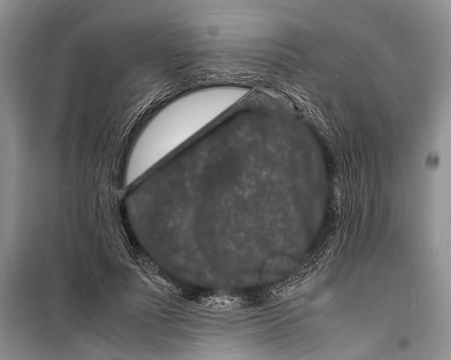 X0000098180691200805151141