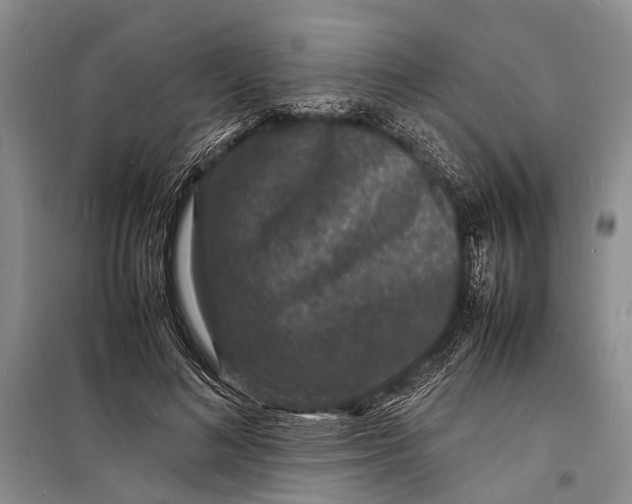 X0000098180692200805151141