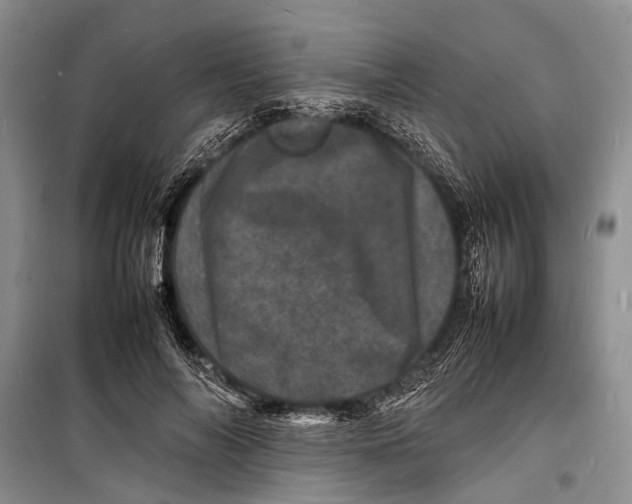 X0000098180694200805151141