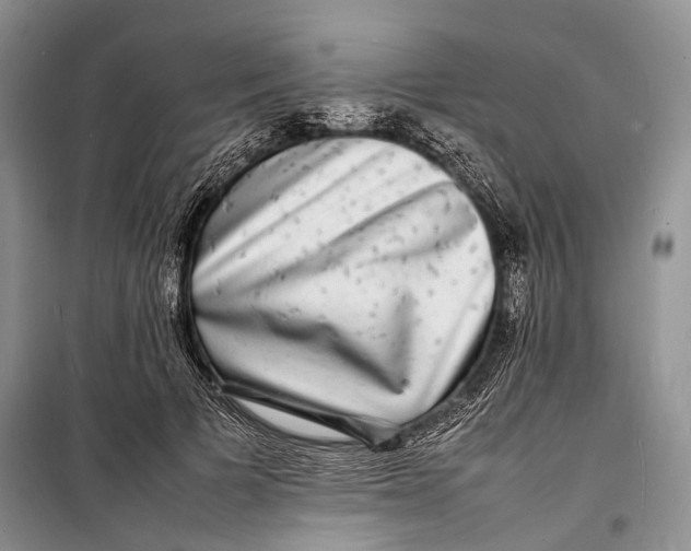 X0000098180697200805151141