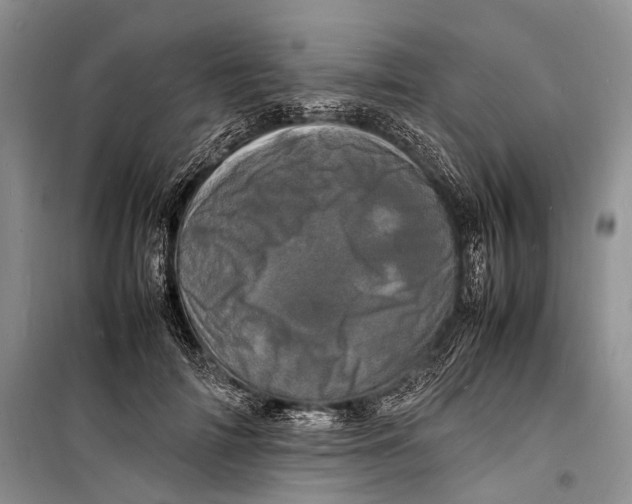 X0000098180698200805151141