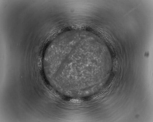 X0000098180699200805151141