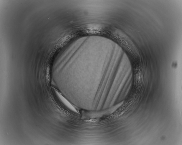 X0000098180700200805151141