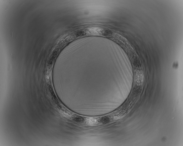 X0000098180701200805151141