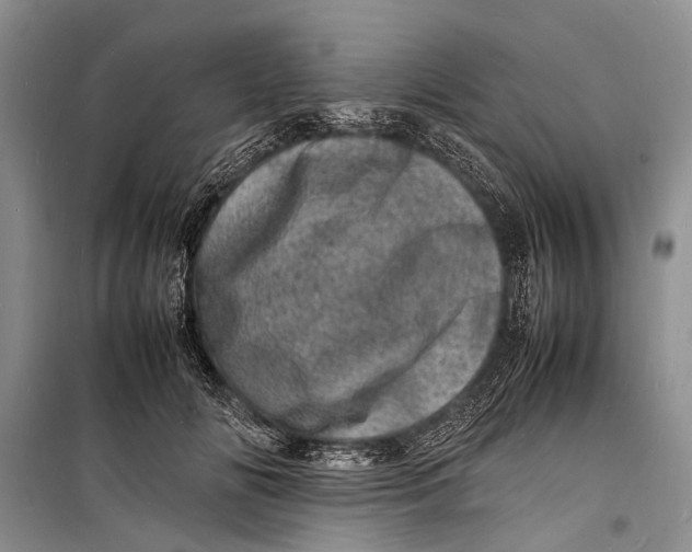 X0000098180702200805151141