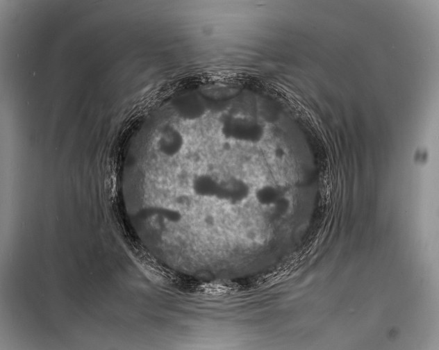 X0000098180703200805151141